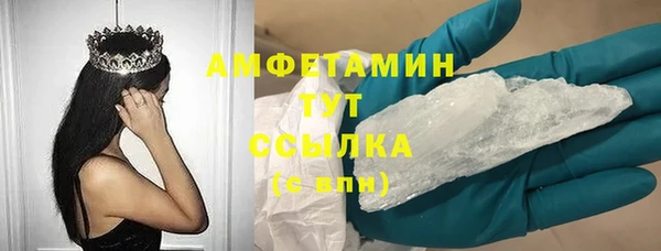 прущие грибы Приозерск