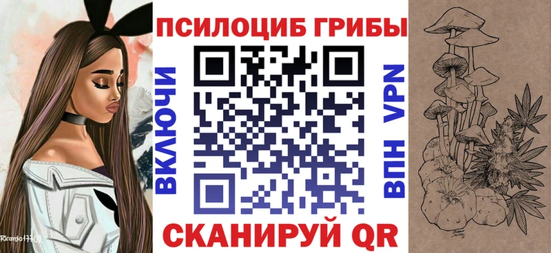 omg маркетплейс  Новохопёрск  Галлюциногенные грибы мицелий 